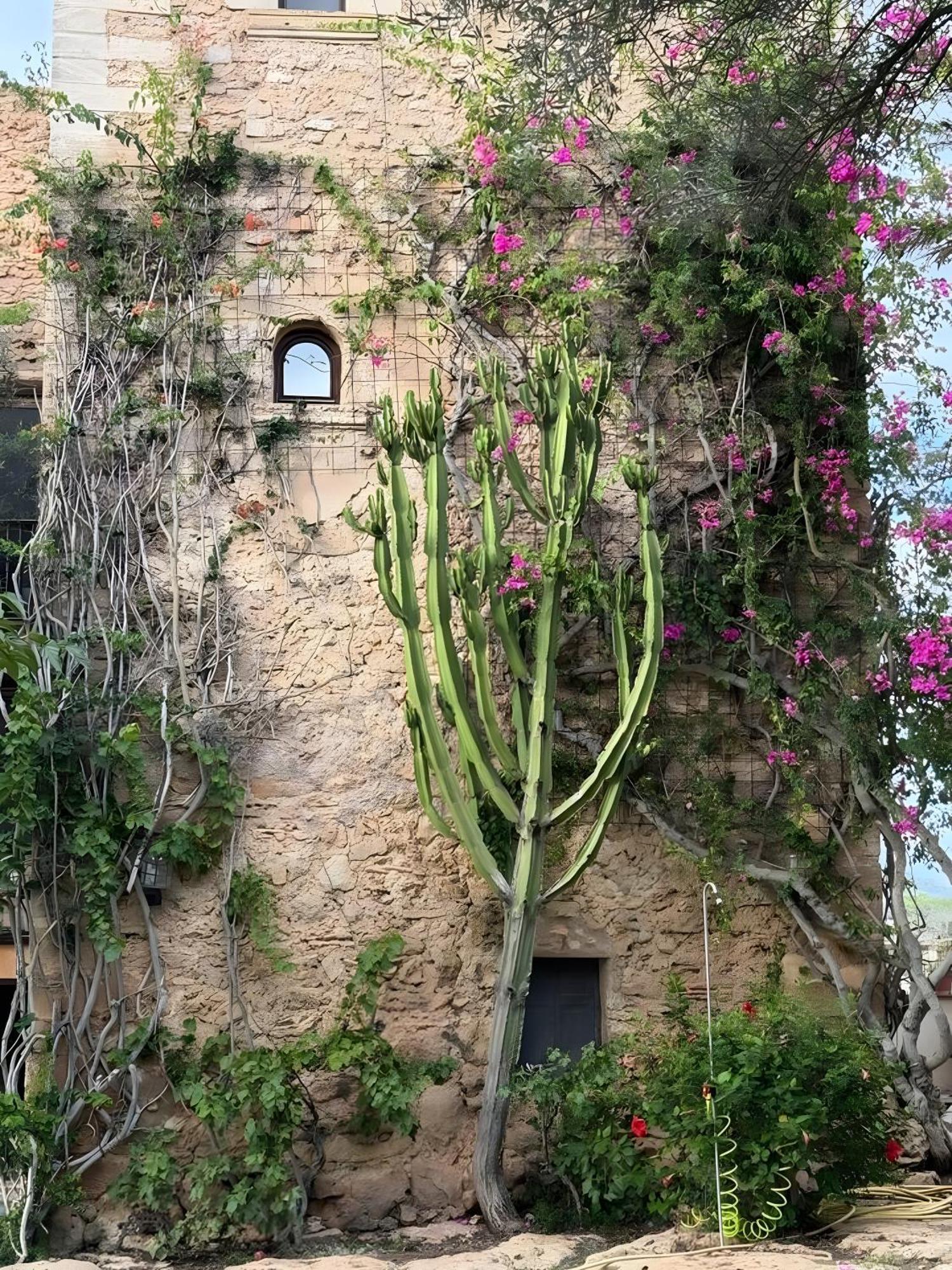 Son Xona Vakantiehuis